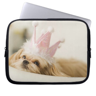 Hund med en krona laptop fodral