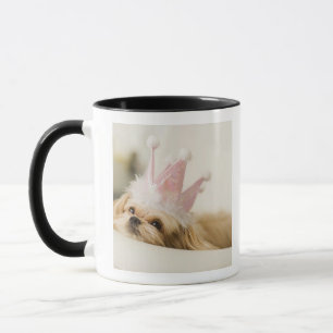 Hund med en krona mugg