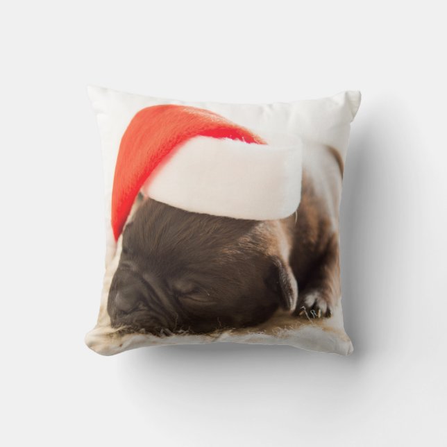Hund med ett nytt års tak kudde (Framsida)