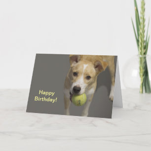 Hund med födelsedagskort Tennis Boll Kort