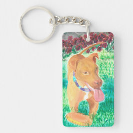 Hund med Frisbee och Ro