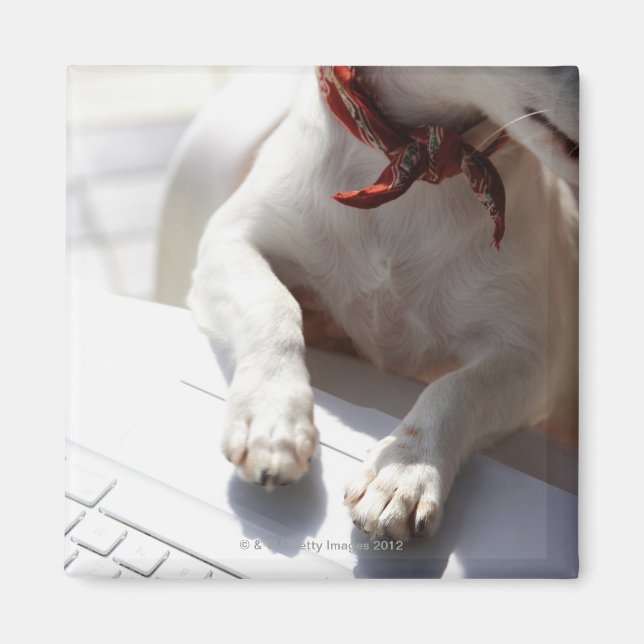Hund med händer på en bärbar dator magnet (Framsidan)