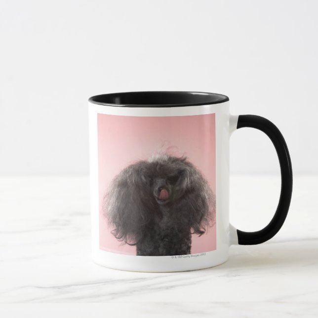 Hund med hår som är främre av ansikte och tungan mugg (Höger)