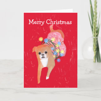 Hund med julkort Ljus Helgkort