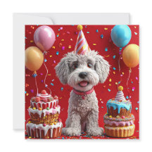 Hund med kaka och ballonger