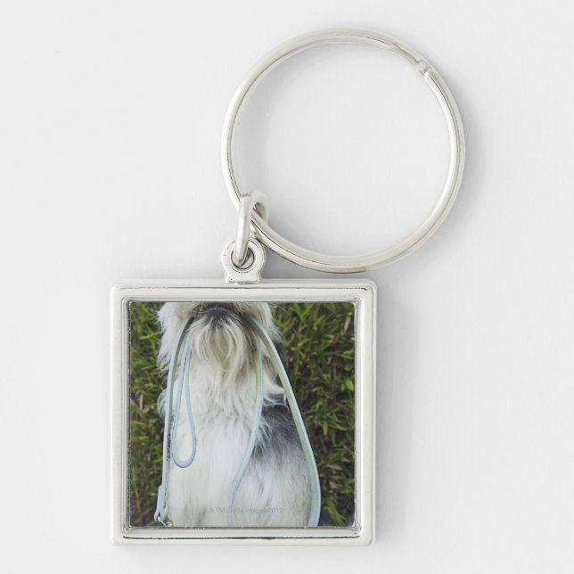 Hund med koppelet i mun fyrkantig silverfärgad nyckelring (Framsidan)