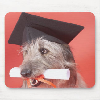 Hund med pantskartong och examensbevis musmatta