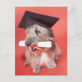 Hund med pantskartong och examensbevis vykort