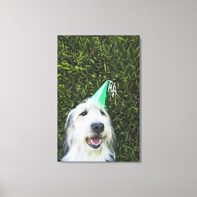 Hund med party hat canvastryck (Framsida)