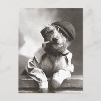 Hund med rör och hattämne vykort