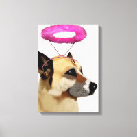 Hund med Rosa Halo