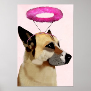 Hund med Rosa Halo Poster
