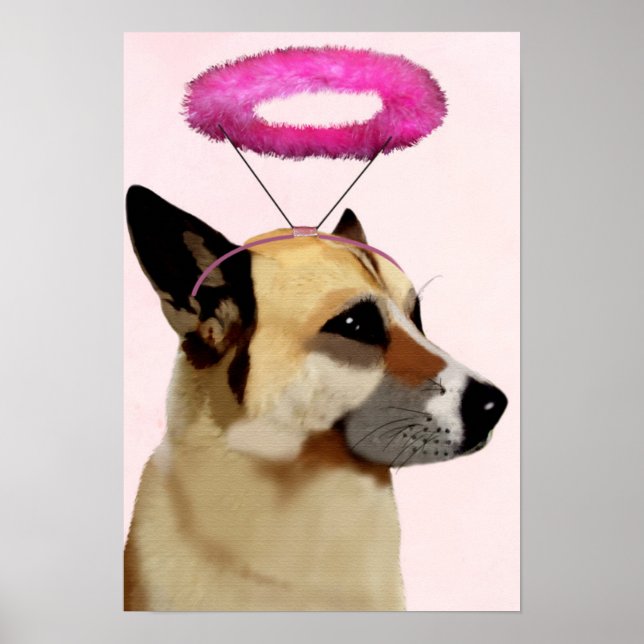 Hund med Rosa Halo Poster (Framsidan)
