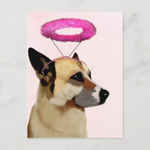 Hund med Rosa Halo Vykort