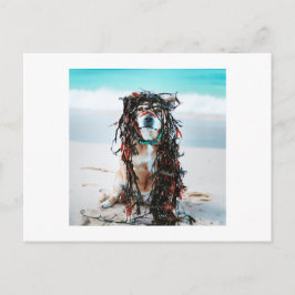 Hund med Sjögräs i hennes hår Helg Vykort