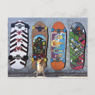 Hund med Skateboardspel Mural Vykort