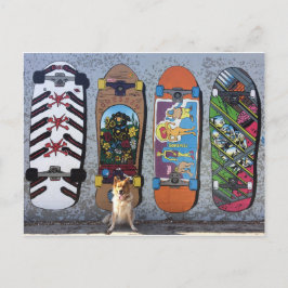 Hund med Skateboardspel Mural Vykort