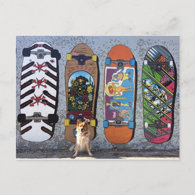 Hund med Skateboardspel Mural Vykort (Framsida)