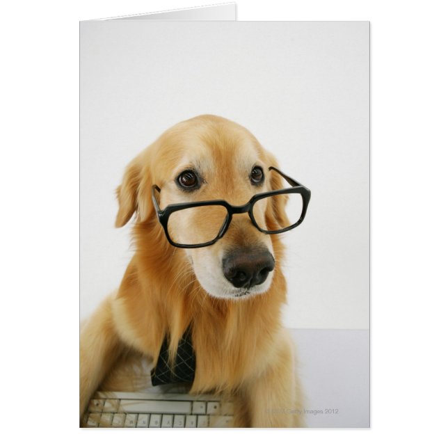 Hund med slips och glas sitta på stol i hälsningskort (Framsidan)