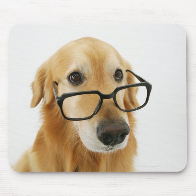Hund med slips och glas sitta på stol i musmatta (Framsidan)