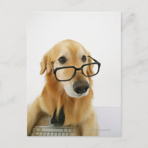 Hund med slips och glas sitta på stol i vykort