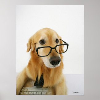 Hund med slips och glas sitta på stol poster