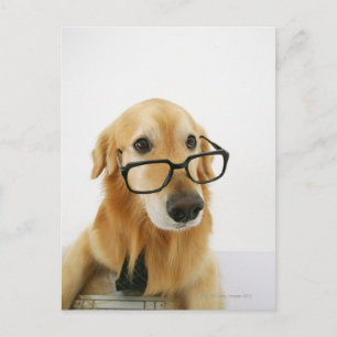 Hund med slips och glas sitta på stol vykort