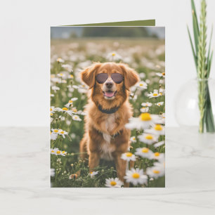 Hund med solglasögon i Daisy Fält Kort