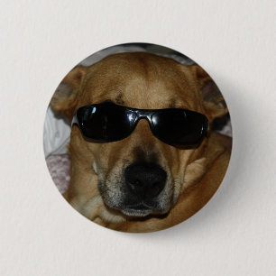 Hund med solglasögon knapp