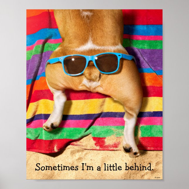 Hund med solglasögon poster (Framsidan)