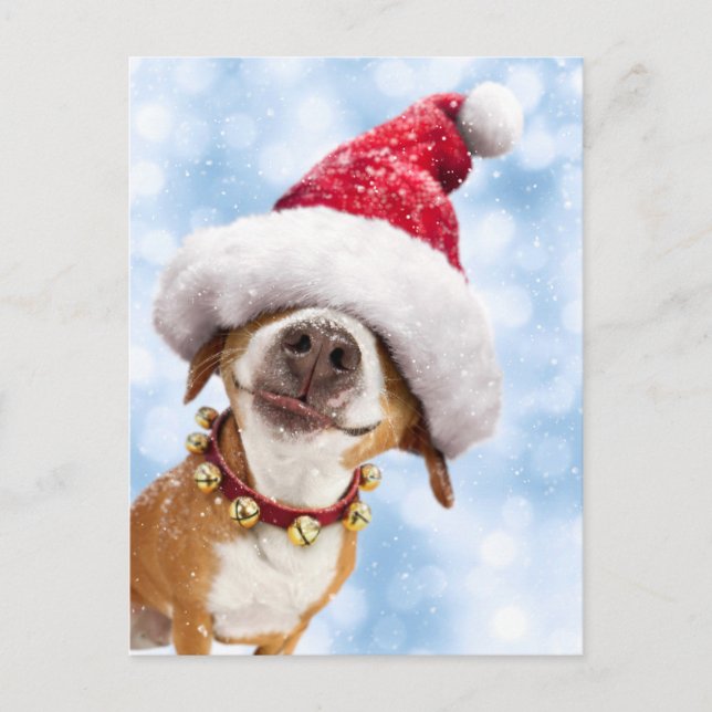 Hund med stor jultomtehatt inbjudan vykort (Framsida)