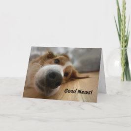 Hund med stort näsfödelsedag kort
