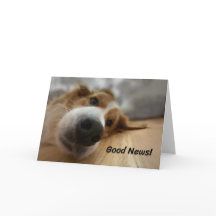 Hund med stort näsfödelsedag