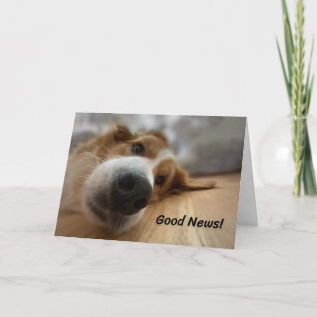Hund med stort näsfödelsedag kort (Framsida)