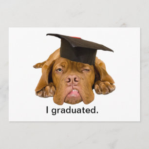 hund med studentenhatten inbjudningar
