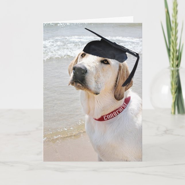 Hund med svart Studentmössa Kort (Framsida)