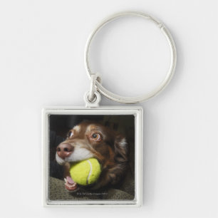Hund med tennisboll fyrkantig silverfärgad nyckelring