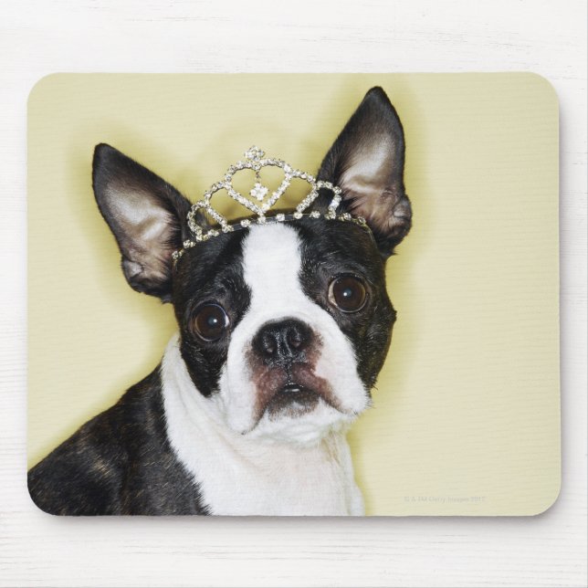 Hund med tiara musmatta (Framsidan)