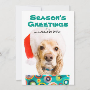 Hund med tomhatt, sittande present julkort