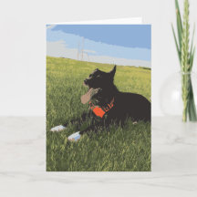 Hund med Tunga i Fält