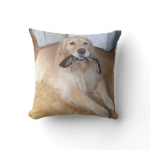 hund med utslag