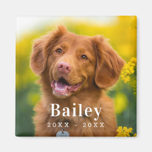 Hund Memorial Anpassningsbar Pet Photo Fridge Magnet