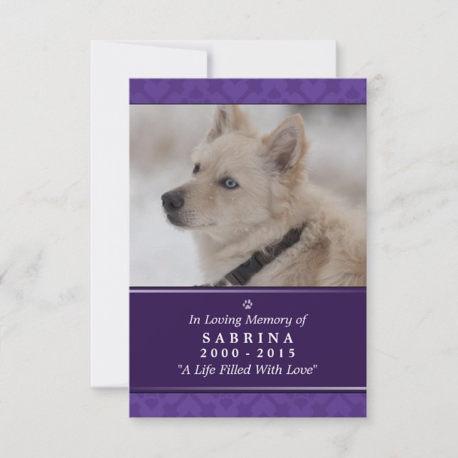 Hund Memorial Card 3,5 tum x 5 tum - Lila Photo Mo Meddelande (Framsida)