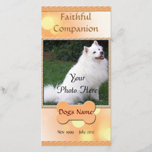 Hund Memorial Faithful Assion Meddelande