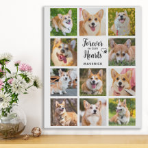 Hund Memorial för alltid i vårt fotokollage
