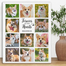 Hund Memorial för alltid i vårt fotokollage
