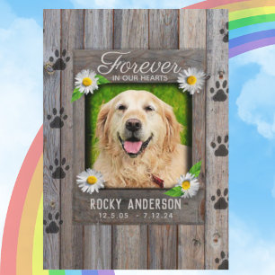 Hund Memorial med Rainbow Bridge-Dikt Card Kort