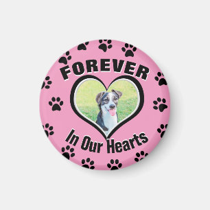 Hund Memorial med Tass avtryck Magnet