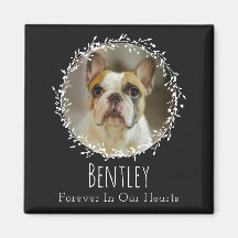 Hund Memorial Pet Loss Keepsaké Två foto- andekran
