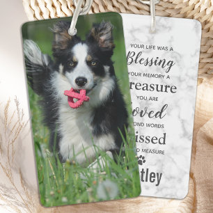 Hund Memorial Sympathy Pet Loss Loss Photo Memoria